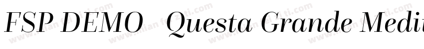FSP DEMO   Questa Grande Medium Reg字体转换